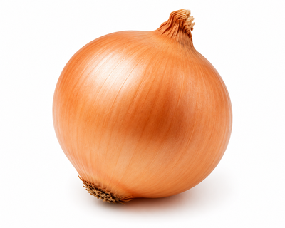 Zwiebel