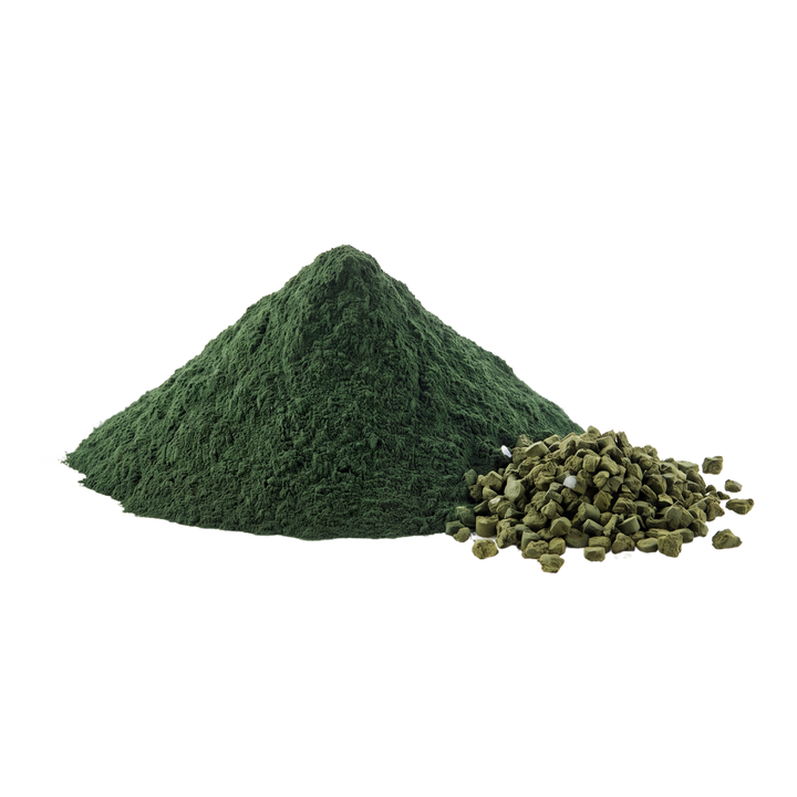Chlorella als Pulver und Presslinge