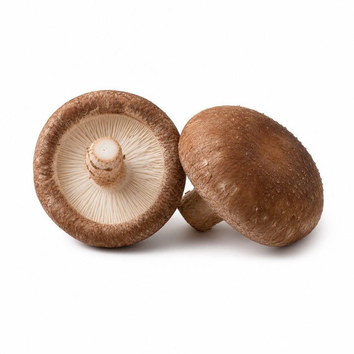 Shiitake