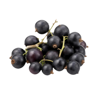 Cassis