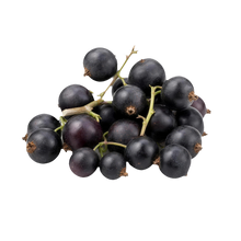Cassis