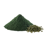 Chlorella
