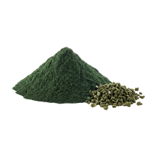 Chlorella