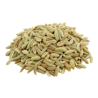 Fenchel