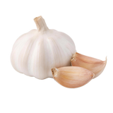 Knoblauch