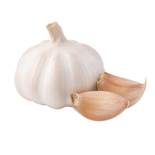 Knoblauch