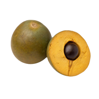 Lucuma