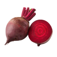 Rote Bete