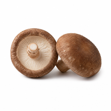Shiitake