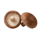 Shiitake