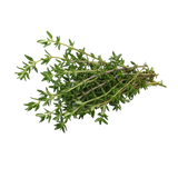 Thymian