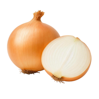 Zwiebel