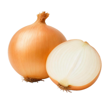 Zwiebel