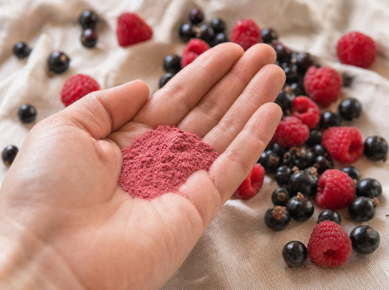 Offene Handfläche mit fein gemahlenem himbeerrosa Fruchtpulver, dahinter frische Himbeeren und Johannisbeeren